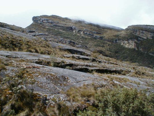 Risco