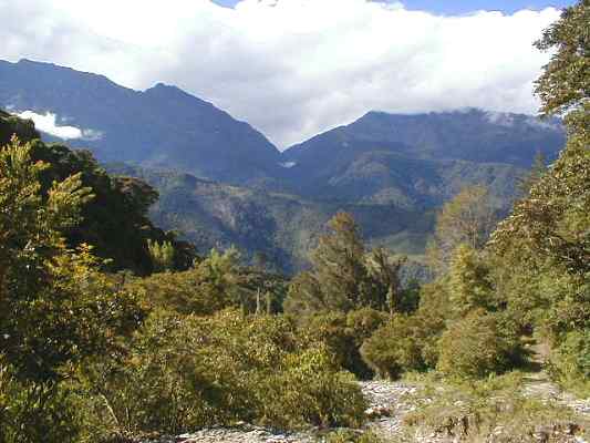 Garganta de la Laguna de la Coromoto