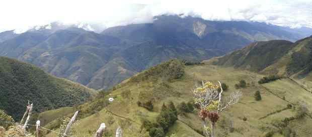 Valle alto