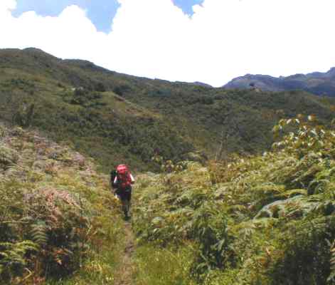 Subiendo a 'La Laja'