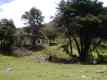 La Laja