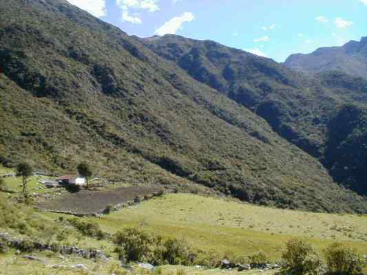 'Los Montilla'