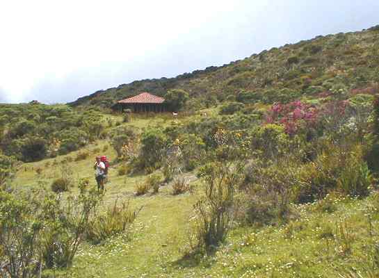 Quintana