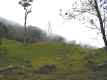 Final de la selva