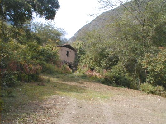 El viejo molino