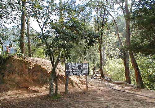 Bifurcacin en Loma del Viento