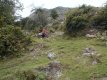 Inicio del camino