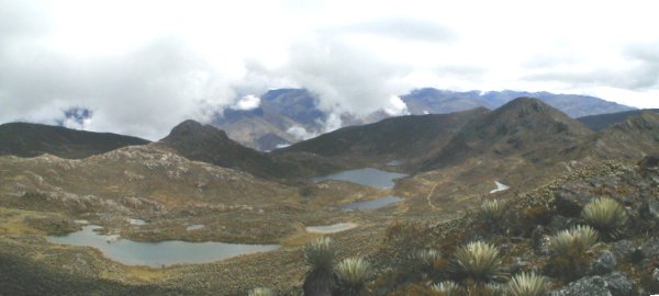 Lagunas #1, #2, #3, #6 y #7