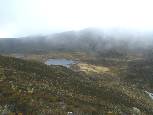 Lagunas de El Royal