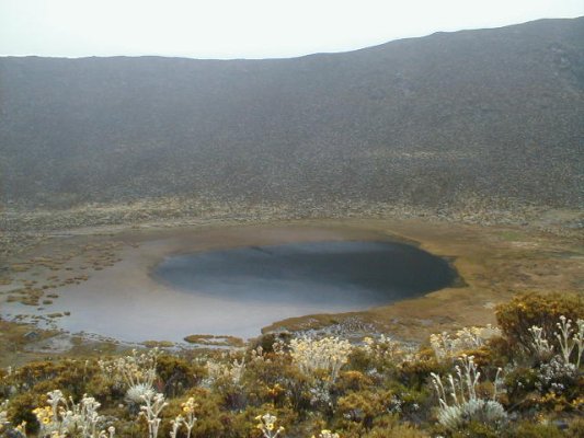 Laguna de centro negro