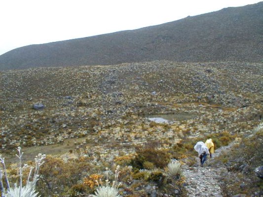 Interseccin de caminos