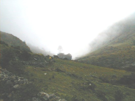 Camino entre la niebla
