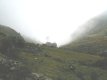 Camino entre la niebla