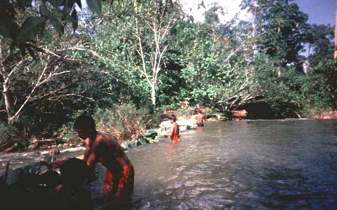 Kirora (pesca)
