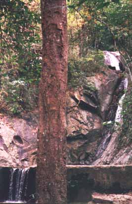 Primera cascada de Quebrada Quintero - camino inferior