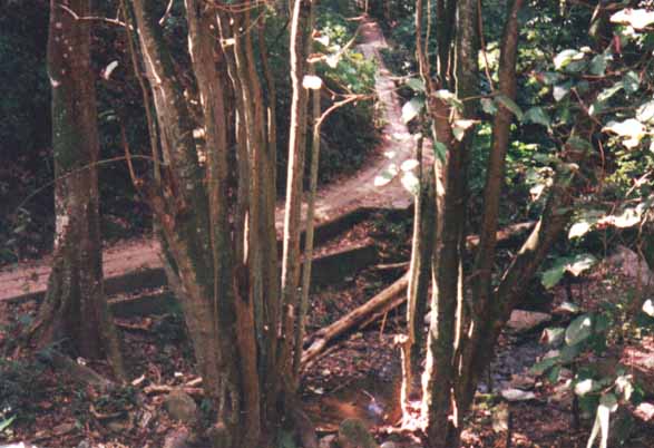 El camino recorrido