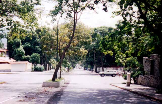 Av. San Juan Bosco desde la 8va. Transversal