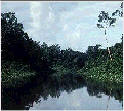 Recursos Naturales (Ro Orinoco, Venezuela)