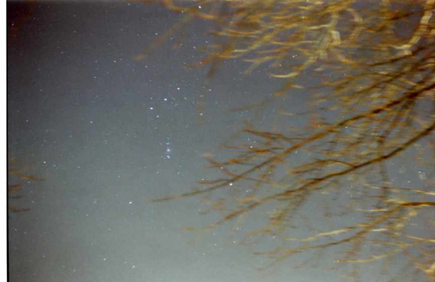 Constellation Orion