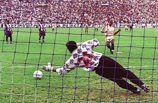 golesidiomatute.jpg (36289 bytes)