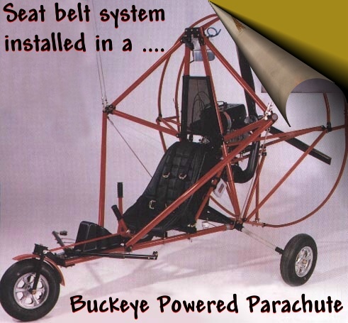 seat belt in BUCKEYE