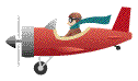 Aircraft seat belts