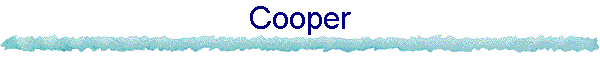 Cooper