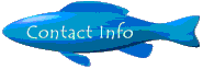 contact.gif (2332 bytes)