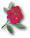 rosa.gif (2623 bytes)
