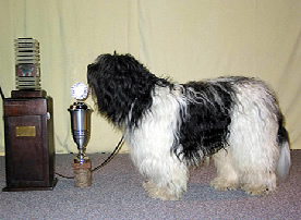 2002