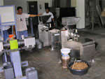 Expellers in leyte