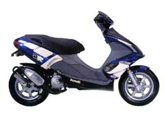Benelli 491 RR Grand Prix