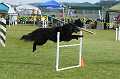Lakota_Agility1