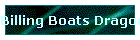 Billing Boats Dragon