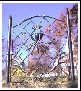wrought iron fence and gate