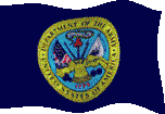 Photo of Army Flag