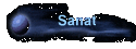 Sanat