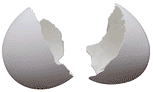 Cracked Egg Shell