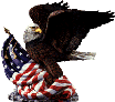 Eagle Image