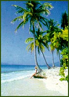 beach.jpg (17555 bytes)