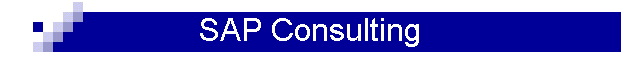SAP Consulting
