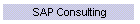 SAP Consulting