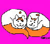 cuddle Vans