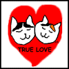 Vans in love