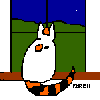 Turkish Van folk art