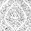Enlarge Picture