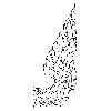 Enlarge Picture