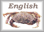 ENGLISH