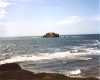 Seagull island