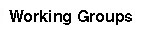 Working Groups